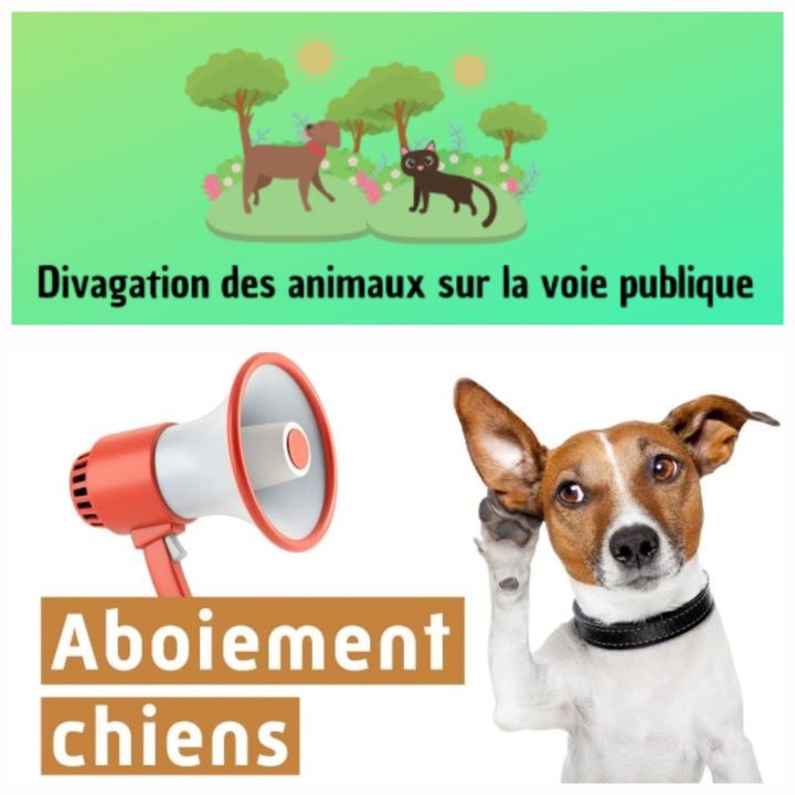 Animaux domestiques : Règles de bon voisinage