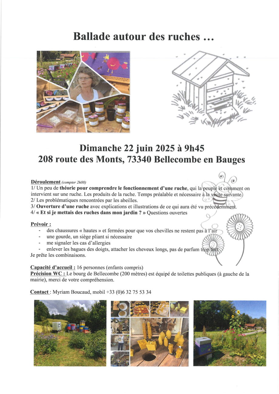 Animation ruches le dimanche 22 juin 2025