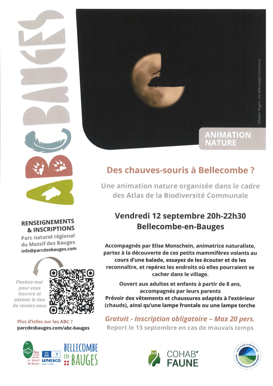 Sortie ABC : Soirée chauve-souris le 12 septembre 2025