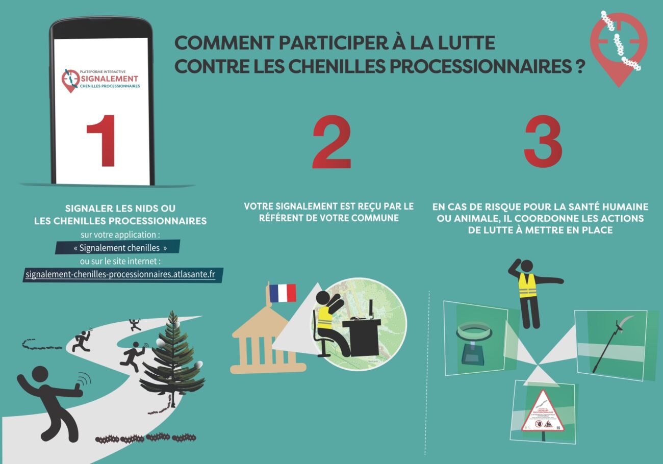 Arrêté préfectoral visant à limiter l&rsquo;exposition de la population aux soies urticantes des chenilles processionnaires